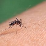 Alerta epidemiológico da dengue