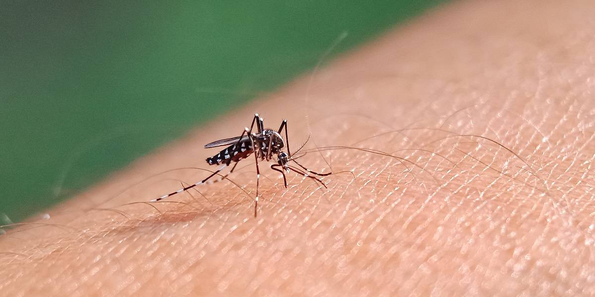 Alerta epidemiológico da dengue