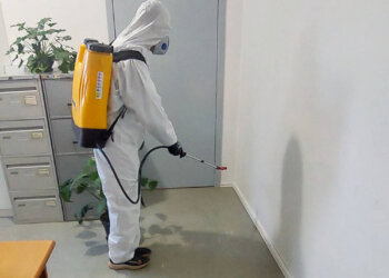 Município utiliza técnica de Borrifação Residual Intradomiciliar para controle do mosquito da dengue