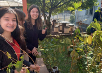 Em comemoração ao Dia Mundial do Meio Ambiente, alunos vaninenses receberam mudas de árvores